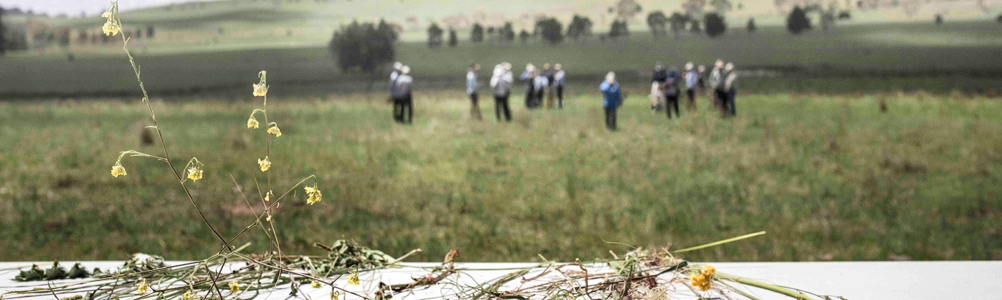 Australian Holistic Management Cooperative